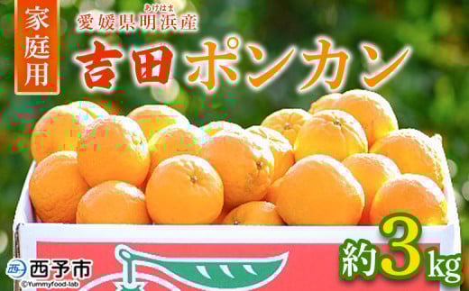 ＜愛媛県明浜産 吉田ポンカン 家庭用 約3kg＞ 果物 くだもの フルーツ みかん ミカン 柑橘 吉田ぽんかん よしだぽんかん ヨシダポンカン 訳あり ご自宅用 特産品 愛媛県 西予市【常温】