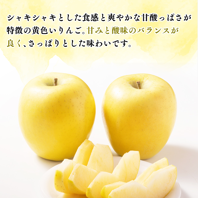 【令和7年産受付】家庭用シナノゴールド約5kg【青森県平川市産・青森りんご】