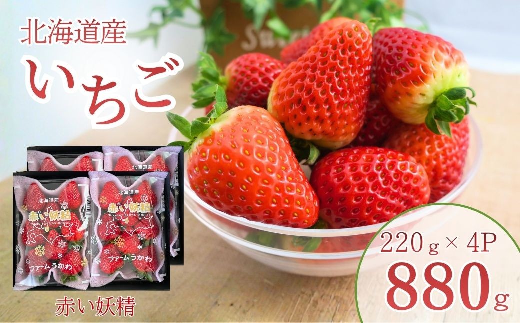 
                  もぎたて！ファームうかわのいちご「赤い妖精」4パック　D030
                