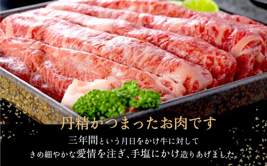 神戸牛 うす切り・切り落とし肉 合計900g 肩・もも肉 500g+牛肉切り落とし 400g  TYS3