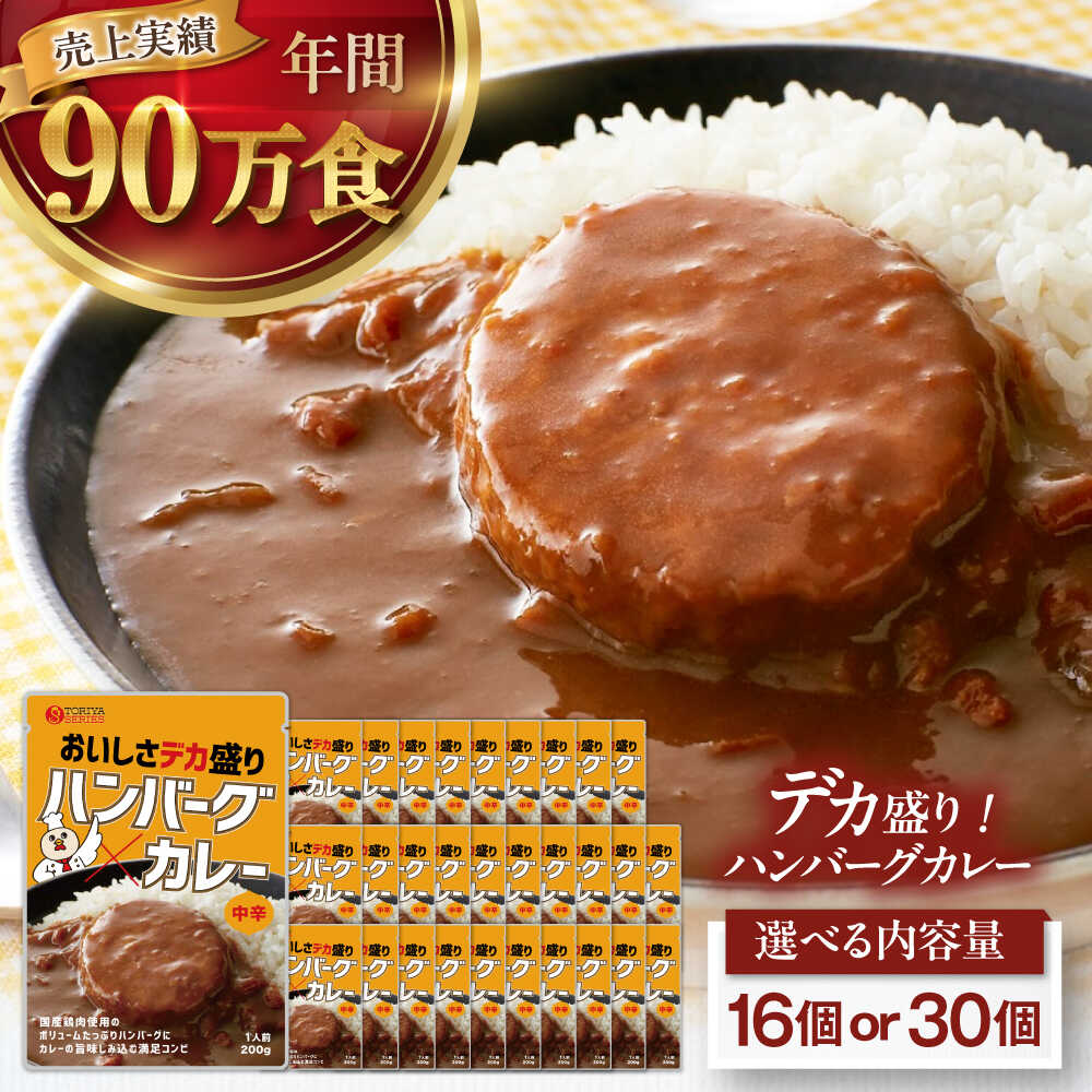 【ふるさと納税】【選べる容量】ハンバーグカレーセット（16食・30食） 愛媛県大洲市/トリゼンフーズ株式会社 レトルトカレー ハンバーグ 総菜 常温 [AGDT030] 10000 1万円