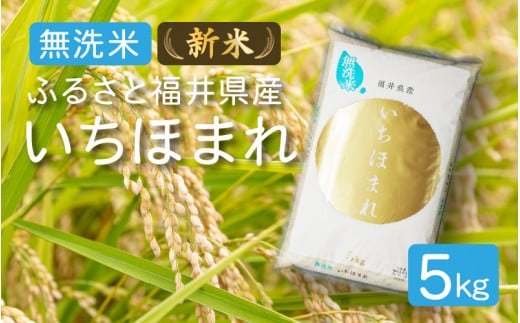 [051-a004] 新米 令和６年度産 無洗米 ふるさと福井県産 いちほまれ 精米 5kg （無地のし対応可）【米 お取り寄せ ギフト 贈り物 お中元 プレゼント】