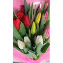 【ふるさと納税】12月出荷　チューリップの花束　18本【配送不可地域：離島】【1271240】