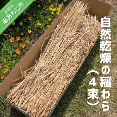 ふるさと納税 南あわじ市 自然乾燥の稲わら(4束)