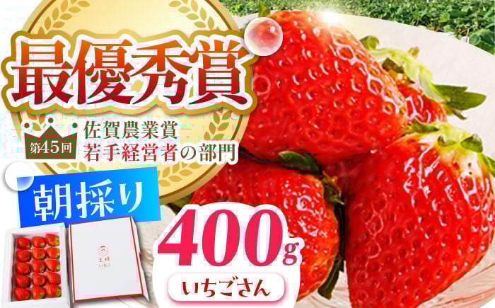
            【農薬0への挑戦】【1～2月発送】王様のいちご いちごさん 400g 1箱【むらおか農園】 [HAF013] 果物 フルーツ くだもの 苺 イチゴ 佐賀県 江北町
          