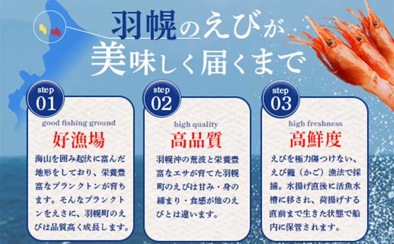 超速リキッド凍結でドリップゼロ! 北海道羽幌産生鮮甘えび 400g | 甘えび 200g×2パック 新鮮 海鮮 魚介 甲殻類 海老 エビ 人気 小分け 刺身 丼 お吸い物 唐揚げ 贅沢 おつまみ 酒の