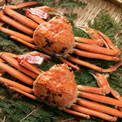 ふるさと納税 伯耆町 【11月中旬以降順次発送】ブランドタグ付ボイル松葉ガニ(400〜500gを2枚)　OM-23