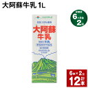 【ふるさと納税】【定期便】【6ヶ月毎2回】大阿蘇牛乳 1L 紙パック 6本 計12本（6本×2回） 牛乳 ミルク 成分無調整牛乳 乳飲料 乳性飲料 熊本県産 国産 九州 熊本県 菊池市 送料無料