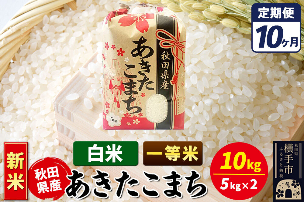 《新米》《定期便10ヶ月》あきたこまち 一等米 10kg【白米】秋田県産 こまちライン [新米 こまちライン あきたこまち ブランド米 お米 白米 精米 米どころ 秋田 秋田県産]