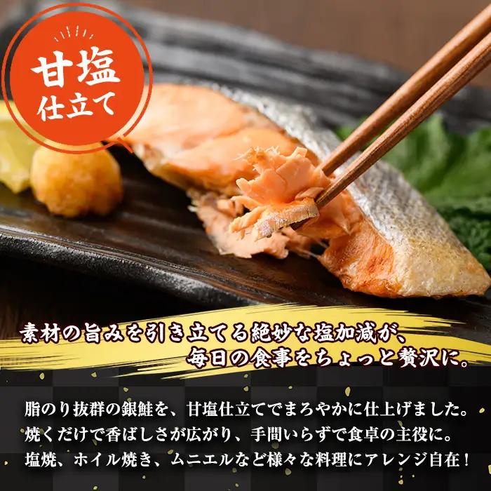 ＜訳あり＞ 甘塩 銀鮭切り落とし (500g) 小分け 魚 冷凍 【KI-19】【イチマル食品加工】