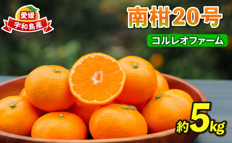 
                  みかん 南柑20号 温州みかん 5kg コルレオファーム 先行予約 フルーツ 愛媛みかん 柑橘 蜜柑 mikan 温州 果物 くだもの 人気のみかん 美味しいみかん 濃厚みかん 愛媛県産 温州蜜柑 産地直送 農家直送 数量限定 先行予約 国産 愛媛 宇和島 B010-145008
                