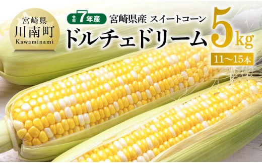 【令和７年発送】宮崎県産とうもろこし　スイートコーン「ドルチェドリーム」5kg 【 とうもろこし スイートコーン コーン とうきび 野菜 2025年発送 】 [D10801]