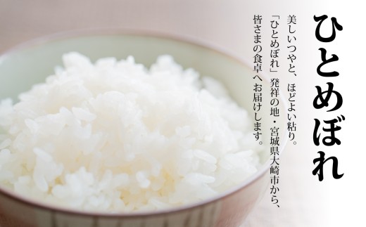 新米 ＼先行予約／ 令和8年産 ひとめぼれ 5kg 精米 米 白米 ごはん 宮城県 大崎市| tm-htm-10kg-r8