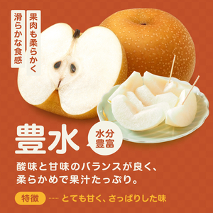 梨 豊水 糖度 14度 以上 約5kg 【2026年月9月上旬～発送】