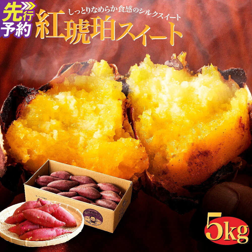 【ふるさと納税】サイズが選べる 西原村産 紅琥珀スイート® シルクスイート ( サイズおまかせ / 小さめ (3S～S) / 大きめ (M～2L) ) 約5kg箱 さつまいも サツマイモ 芋 野菜 熊本県 西原村 送料無料 【2026年12月上旬～2027年2月下旬まで順次発送予定】