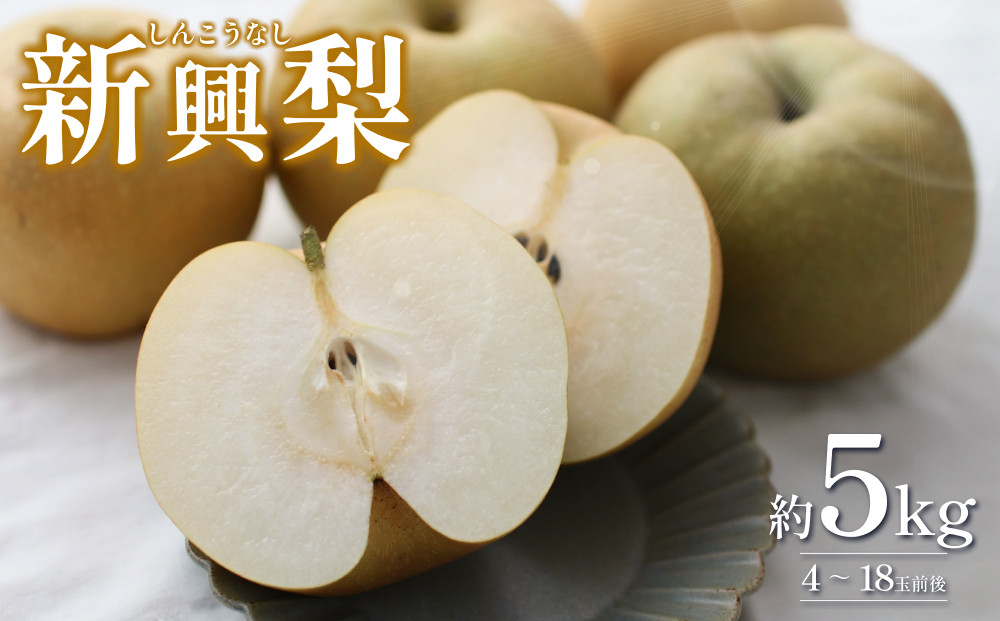 
                  【2026・先行予約】新興梨（しんこうなし）5kg｜鳥取 果物 くだもの フルーツ なし 梨 和梨 旬 数量限定 2026年収穫後【41035】
                
