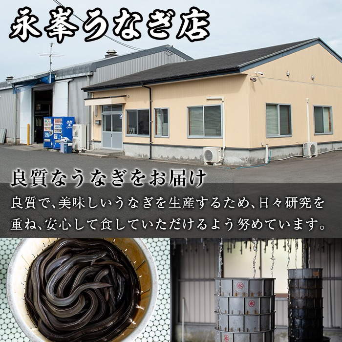 【30605】12月11日までのご入金で年内発送！大隅産うなぎの蒲焼(計約800g・約200g×4尾・有頭)うなぎ 高級 ウナギ 鰻 国産 蒲焼 蒲焼き たれ 鹿児島【永峯うなぎ店】