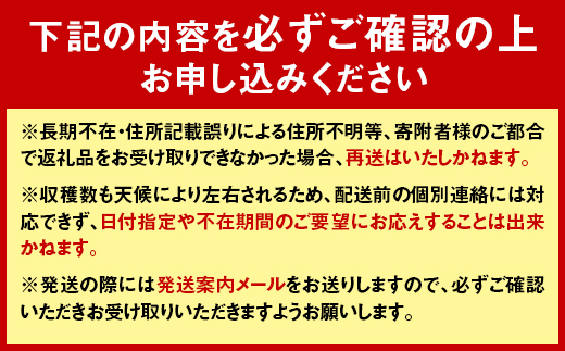 【先行予約】 令和7年産 ホワイトアスパラガス（2Lサイズ）2kg F4G-0004