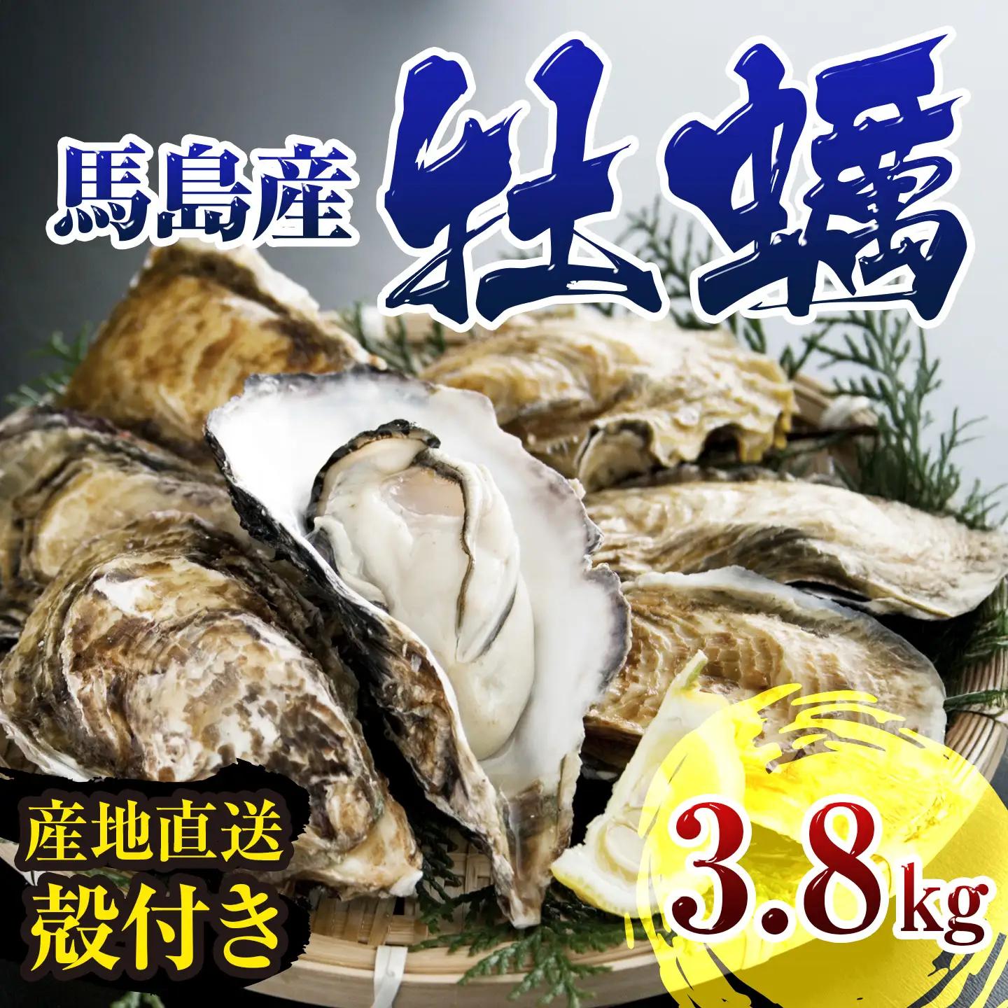 牡蠣 3.8㎏ 馬島産牡蠣 産地直送 FN-Limited-SP