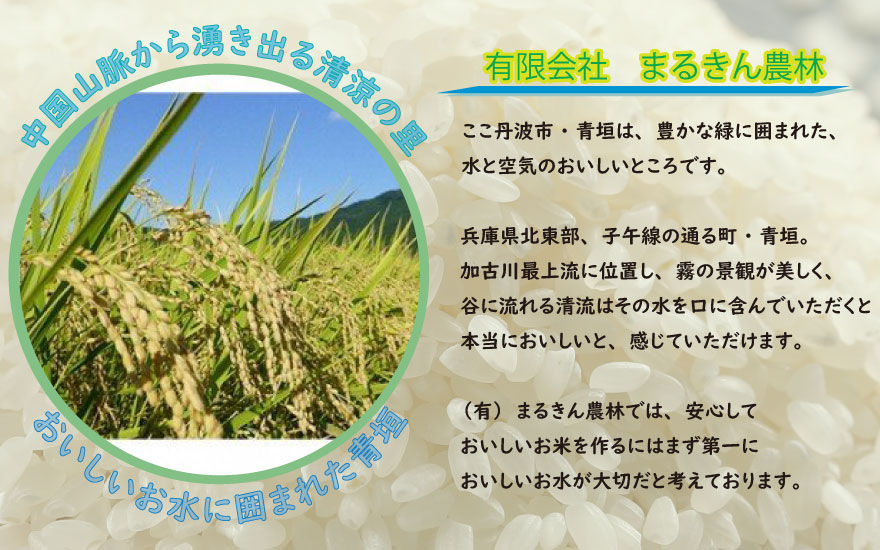 まるきんの丹波ひかみ米 ミルキークイーン 10kg 低アミロース米 もちもち食感 兵庫県 丹波市