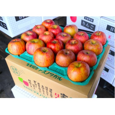 【26年1月出荷予定】平均糖度13度以上! サンふじ 約5kg 訳あり【配送不可地域：離島・沖縄】【1612819】