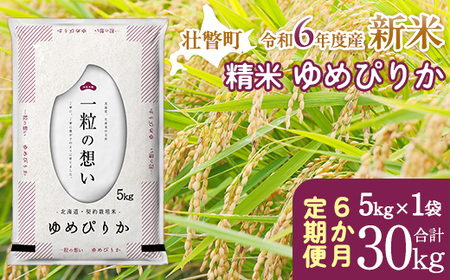 【新米】【令和6年産米】北海道壮瞥産 ゆめぴりか 計30kg（5kg×1袋 6ヵ月定期配送） 【 ふるさと納税 人気 おすすめ ランキング 新米 米 お米 コメ こめ ゆめぴりか 精米 白米 ごはん ご飯 壮瞥産 定期便 北海道 壮瞥町 送料無料 】 SBTE028