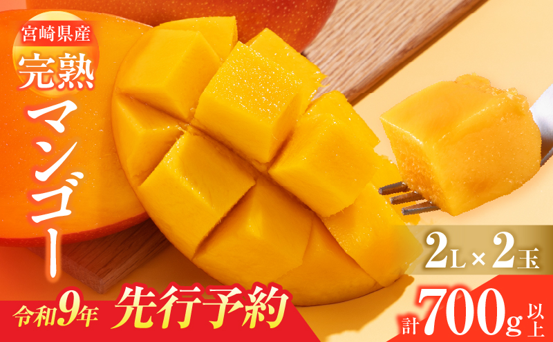 先行予約 宮崎県産 完熟マンゴー 2L×2玉 計700g以上 フルーツ スイーツ 果物 くだもの 食品 グルメ デザート 国産 産地直送 おすすめ おやつ ご褒美 贈り物 ギフト プレゼント 令和9年
