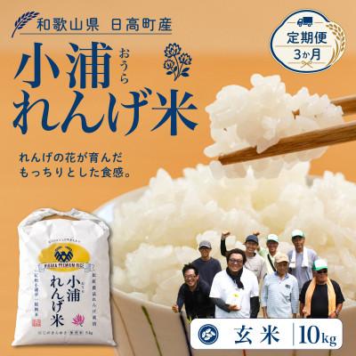 ふるさと納税 日高町 【毎月定期便】小浦れんげ米(にじのきらめき) 玄米 10kg全3回