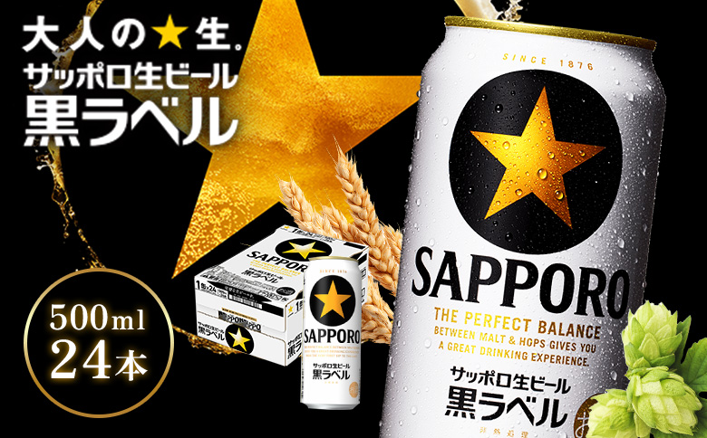 サッポロ黒ラベル500ml×24本 | サッポロ黒ラベル 黒ラベル サッポロ サッポロビール ビール 生ビール お酒 アルコール 北海道醸造 麦芽 うまみ 後味 爽やか 泡 鮮度 お取り寄せ 北海道 恵庭市 恵庭【930050113】