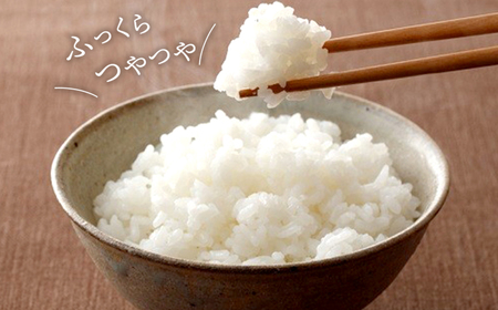 【令和7年産】茨城県産 コシヒカリ10kg (5kg×2袋) 白米 JA茨城むつみ こしひかり K2086