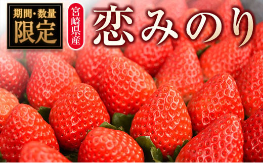 ◆宮崎県産いちご「恋みのり」（計8パック）