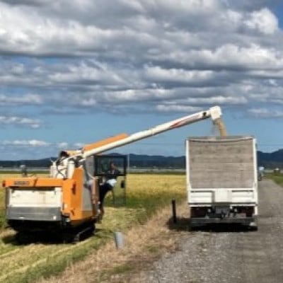 令和7年産　特別栽培米あきたこまち10kg(白米)【配送不可地域：離島・沖縄県】