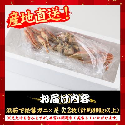ふるさと納税 境港市 浜茹松葉ガニ足欠(2枚/計800g以上)【11月10日〜2月28日発送】 |  | 03