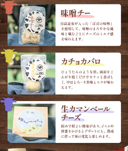 【お歳暮のし付き】チーズセット A 計6種 北海道 チーズ ギフト