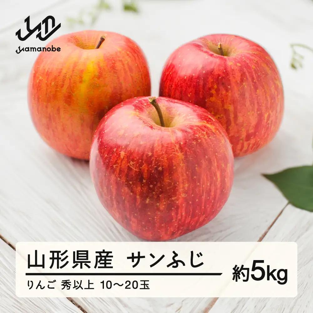 《先行予約》2026年 山形県産 サンふじりんご 秀以上 5kg（10～20玉）2026年12月上旬から順次発送 果物 くだもの フルーツ 秋果実 林檎 リンゴ F20A-148