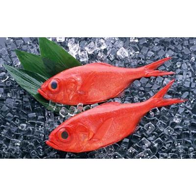 ふるさと納税 高知市 高知産「金目鯛」炊込みの素 200g(3合炊き込み用濃縮タレ付)【BX008】 |  | 02