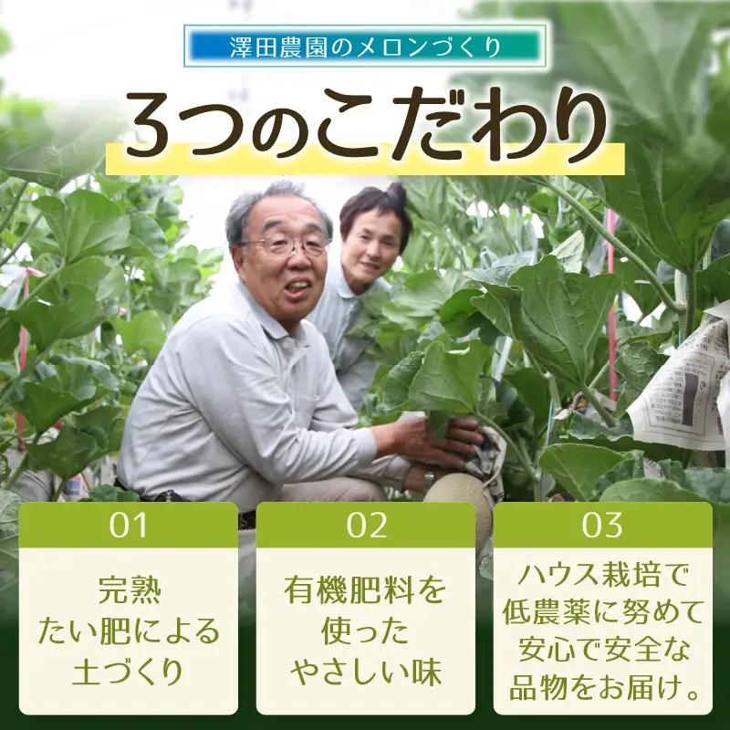 【先行予約】青肉マスクメロン（1.5kg以上 2玉入）味も見た目も抜群！アールスメロン  / あわら 期間限定 果物 フルーツ 産地直送 青肉 人気 ギフト 贈答 ※2026年7月上旬より順次発送  