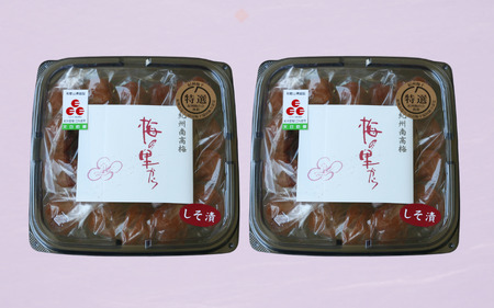 しそ漬け　900g（450g×2） / 田辺市 紀州南高梅 南高梅 梅干し 梅干 梅 うめ 肉厚 お米 おにぎり 焼酎 梅酒 健康 ご飯のお供 塩分8％【ing001】