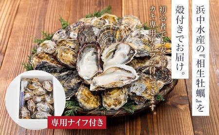 ★先行予約★【2月発送】特選！殻付き生牡蠣 20個【漁師直送！】