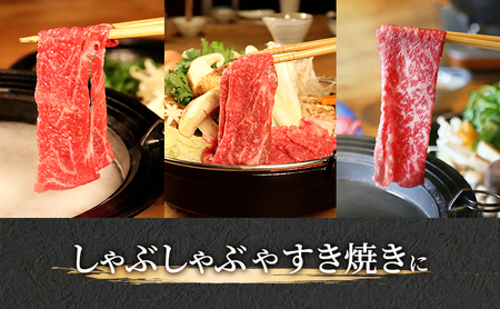 飛騨牛 牛肉 すき焼き しゃぶしゃぶ もも肉 スライス 600g A5 和牛 モモ肉 【岐阜県瑞穂市】