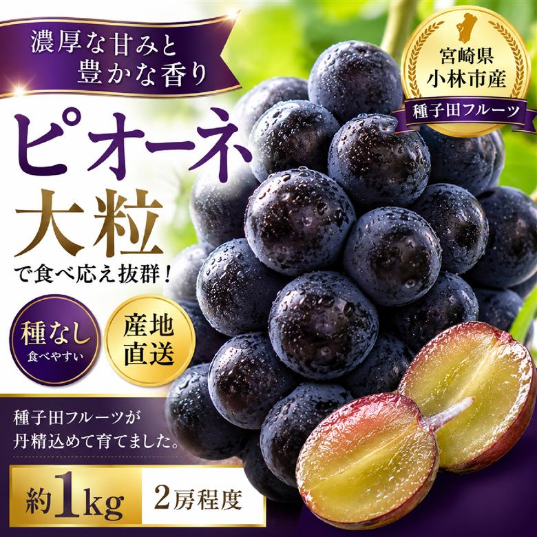 【大粒・種なし】 ピオーネ（ニューピオーネ）1kg ぶどう 葡萄 フルーツ