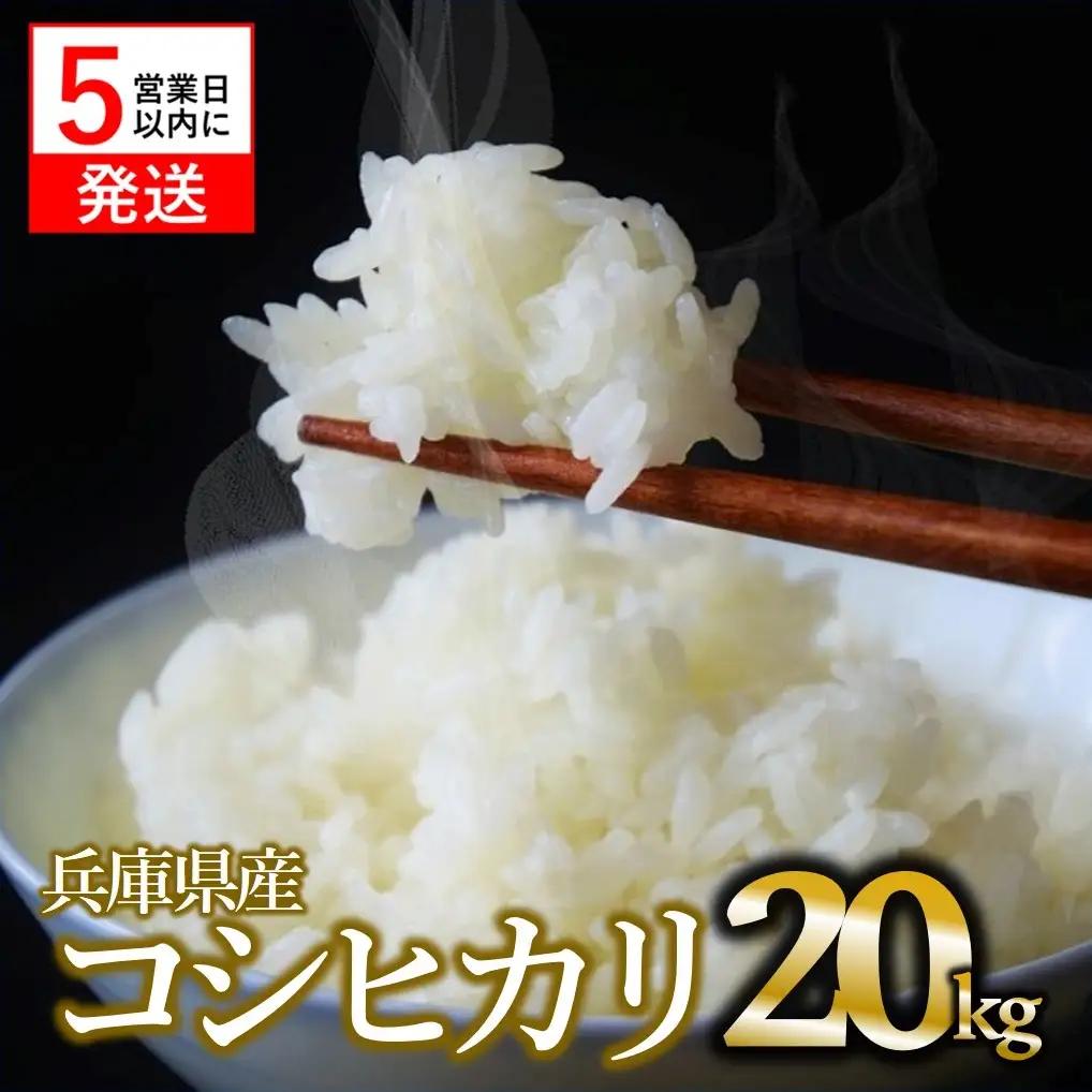 【コシヒカリ】令和7年産 白米20kg【5営業日以内に発送】