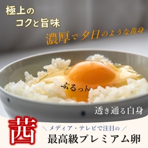 【定期便6回】 高級品質 ! 箱庭たまご 「茜」 9個 真岡市 栃木県