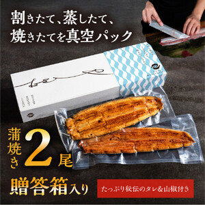 数量限定 国産うなぎ 蒲焼き(長焼き)2本 <オリジナル御朱印付き> |  明治5年創業の老舗名店 150年秘伝のタレ付き 国産養殖うなぎ 蒲焼き うな重 ひつまぶしに 栃木県 栃木市