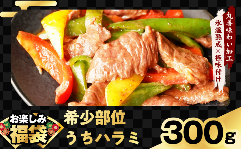 【夏の肉福袋】4種 1.9kg 焼肉セット（牛肉 切り落とし／牛ハラミ／豚肉 スペアリブ／鶏肉）【氷温熟成×極味付け 焼くだけ 食べ比べ ふくぶくろ お楽しみ 簡単調理】 mrz0154