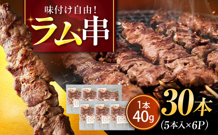 ラム串 30本  | ラム ラム肉 羊肉 仔羊 北海道 | ストレイシープ [BOAP013]