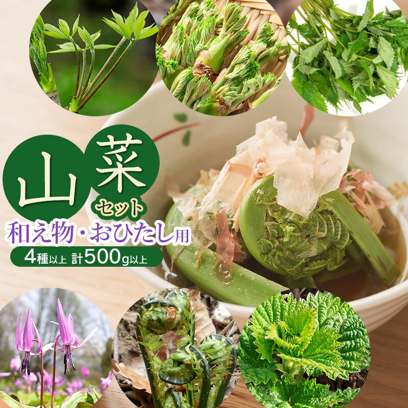 【ふるさと納税】【令和8年発送】山菜セット和え物・おひたし用（4種以上） 計500g以上 山形県鶴岡産　グレイスファーム