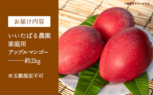 【先行受付】【2026年発送】いいたばる農園の家庭用アップルマンゴー約2kg - ご家庭用 先行予約 沖縄県産 産地直送 農薬不使用 除草剤不使用 南国フルーツ 旬の味覚 マンゴー オススメ 沖縄県 