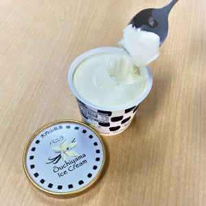 アイス バニラ チョコレート チョコ セット スイーツ / 大内山アイスクリーム2個ずつセット　＜バニラ・チョコ＞【khy004-3B】