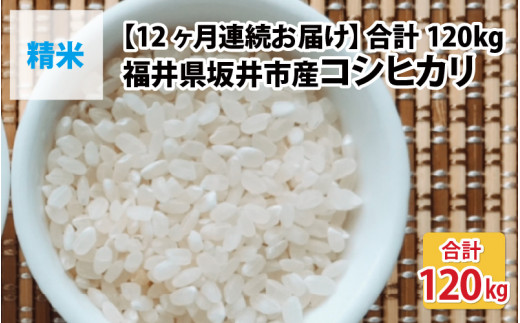 【先行予約】【令和8年産・新米】【12ヶ月連続お届け】福井県坂井市丸岡町産 コシヒカリ10kg×12回 計120kg（精米）【2026年10月より順次発送予定】 [O-11302_03]